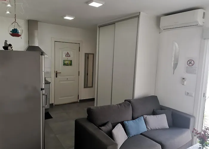 Casa vacanze Casasjerezanas Loft Flores